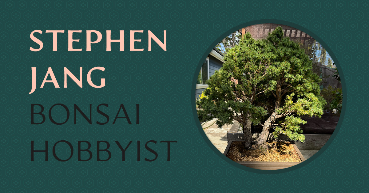 levitating bonsai pot Buy magnetic levitating bonsai pot levitation at best price Pakistan