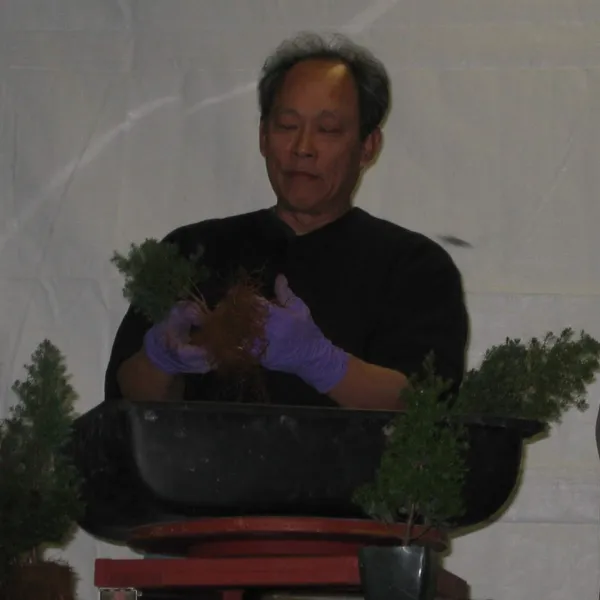 Bonsai Society of San Francisco at the 2006 Flower and Garden Show, Cow Palace
