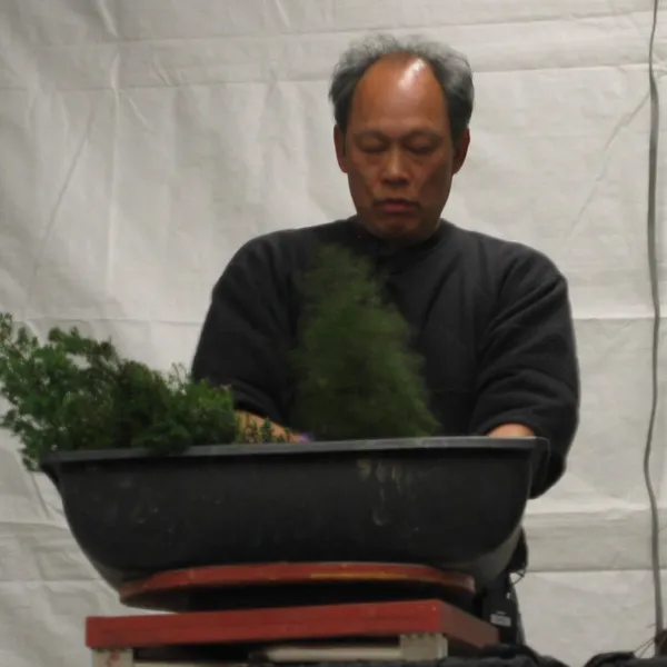 Bonsai Society of San Francisco at the 2006 Flower and Garden Show, Cow Palace