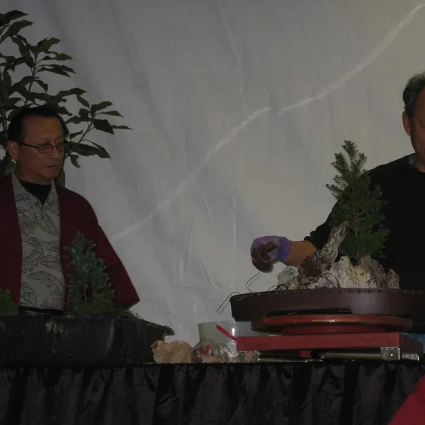 Bonsai Society of San Francisco at the 2006 Flower and Garden Show, Cow Palace