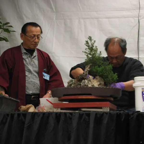 Bonsai Society of San Francisco at the 2006 Flower and Garden Show, Cow Palace