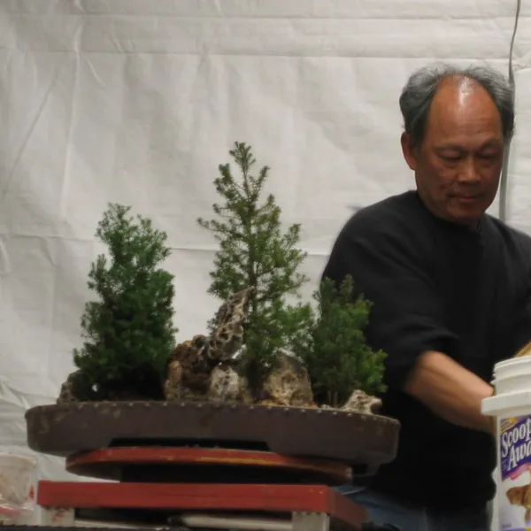 Bonsai Society of San Francisco at the 2006 Flower and Garden Show, Cow Palace