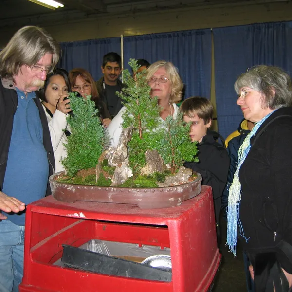 Bonsai Society of San Francisco at the 2006 Flower and Garden Show, Cow Palace