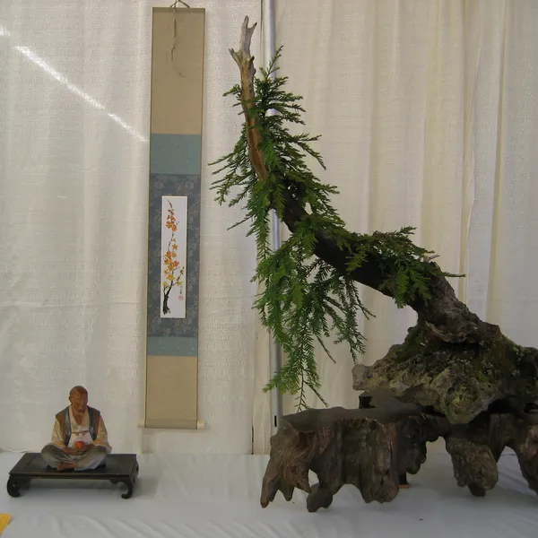 Bonsai Society of San Francisco at the 2006 Flower and Garden Show, Cow Palace