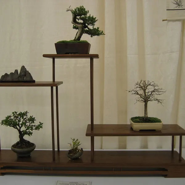 Bonsai Society of San Francisco at the 2006 Flower and Garden Show, Cow Palace