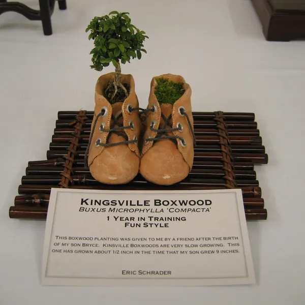 Bonsai Society of San Francisco at the 2006 Flower and Garden Show, Cow Palace