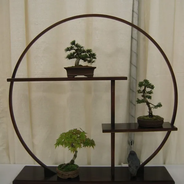 Bonsai Society of San Francisco at the 2006 Flower and Garden Show, Cow Palace