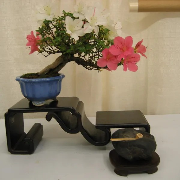 Bonsai Society of San Francisco at the 2006 Flower and Garden Show, Cow Palace