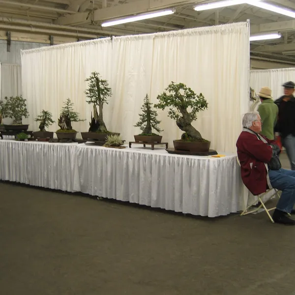 Bonsai Society of San Francisco at the 2006 Flower and Garden Show, Cow Palace