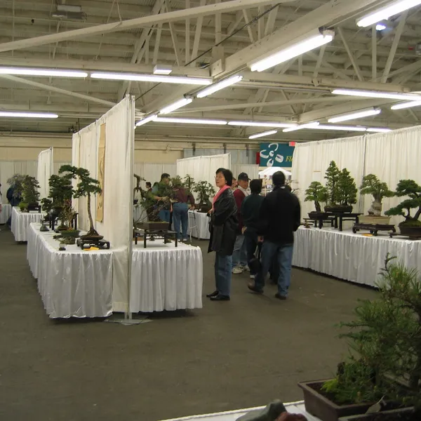 Bonsai Society of San Francisco at the 2006 Flower and Garden Show, Cow Palace