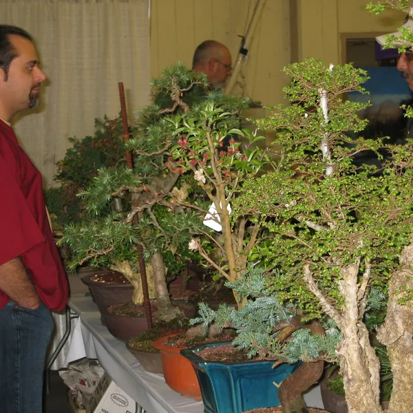 Bonsai Society of San Francisco at the 2006 Flower and Garden Show, Cow Palace