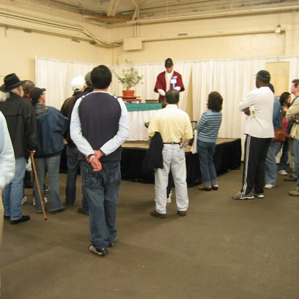 Bonsai Society of San Francisco at the 2006 Flower and Garden Show, Cow Palace