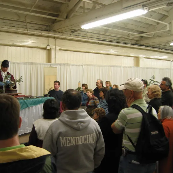 Bonsai Society of San Francisco at the 2006 Flower and Garden Show, Cow Palace
