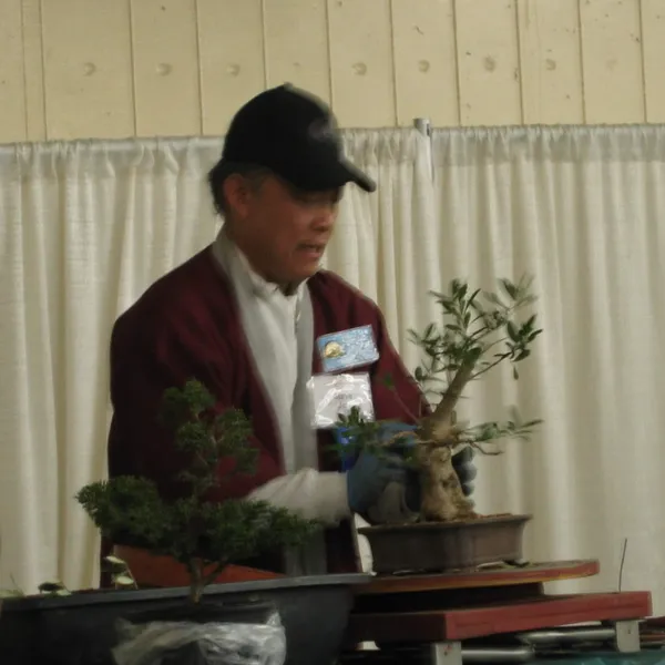 Bonsai Society of San Francisco at the 2006 Flower and Garden Show, Cow Palace