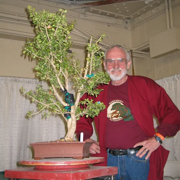 Bonsai Society of San Francisco at the 2006 Flower and Garden Show, Cow Palace