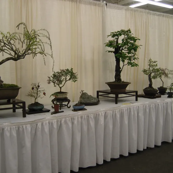 Bonsai Society of San Francisco at the 2006 Flower and Garden Show, Cow Palace