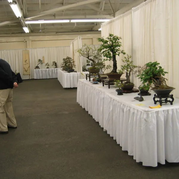 Bonsai Society of San Francisco at the 2006 Flower and Garden Show, Cow Palace