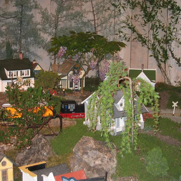 Bonsai Society of San Francisco at the 2006 Flower and Garden Show, Cow Palace