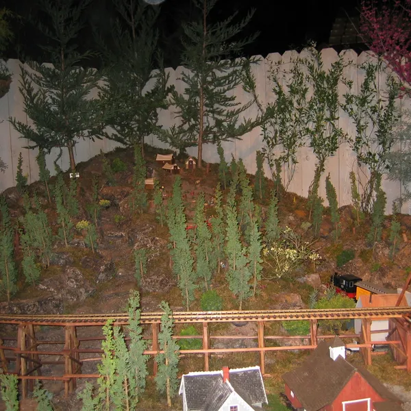 Bonsai Society of San Francisco at the 2006 Flower and Garden Show, Cow Palace