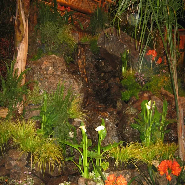 Bonsai Society of San Francisco at the 2006 Flower and Garden Show, Cow Palace