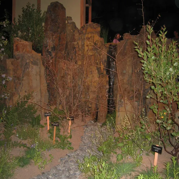 Bonsai Society of San Francisco at the 2006 Flower and Garden Show, Cow Palace