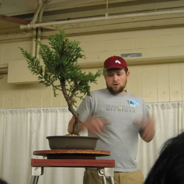 Bonsai Society of San Francisco at the 2006 Flower and Garden Show, Cow Palace