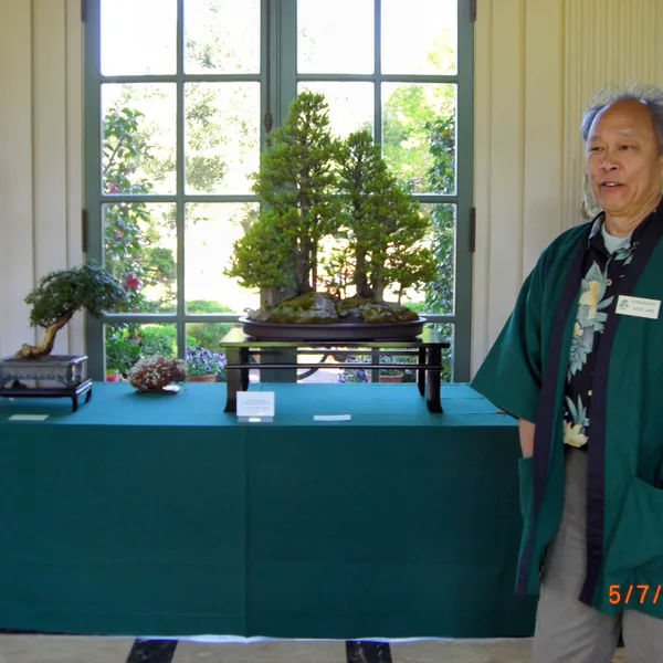Sei Boku Bonsai Kai bonsai exhibit at Filoli, Mother's Day 2010