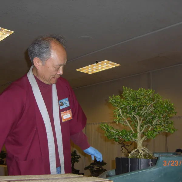 Bonsai Society of San Francisco at the 2011 Flower and Garden Show, San Mateo Event Center