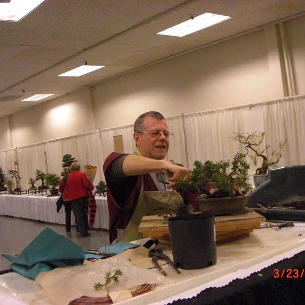 Bonsai Society of San Francisco at the 2011 Flower and Garden Show, San Mateo Event Center
