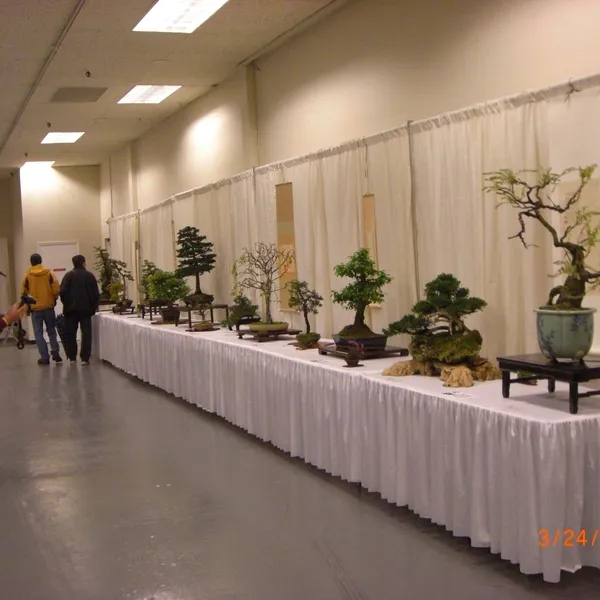Bonsai Society of San Francisco at the 2011 Flower and Garden Show, San Mateo Event Center