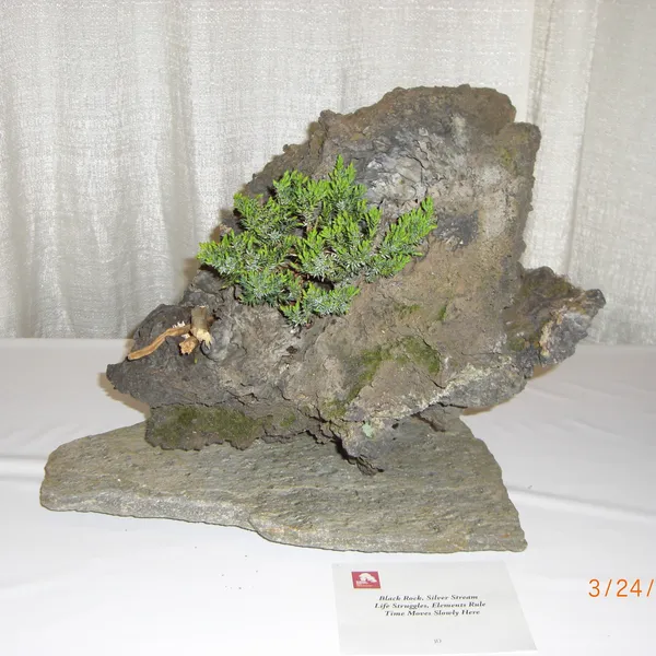 Bonsai Society of San Francisco at the 2011 Flower and Garden Show, San Mateo Event Center