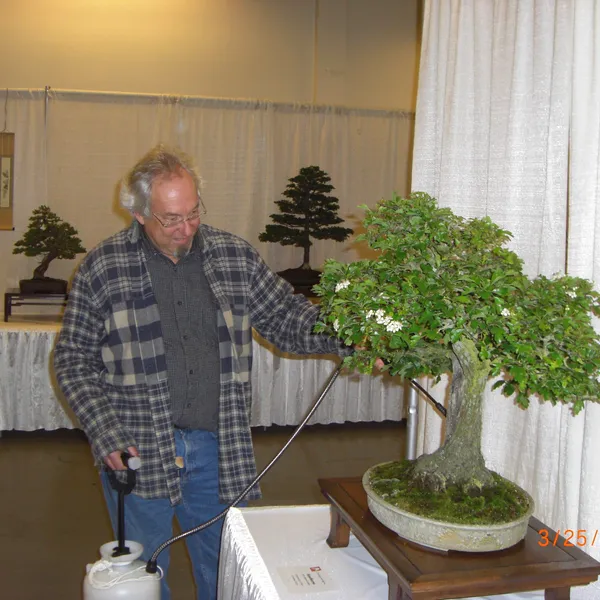 Bonsai Society of San Francisco at the 2011 Flower and Garden Show, San Mateo Event Center
