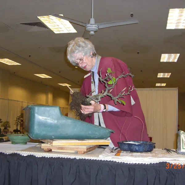 Bonsai Society of San Francisco at the 2011 Flower and Garden Show, San Mateo Event Center