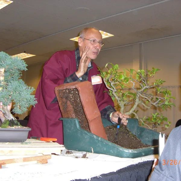 Bonsai Society of San Francisco at the 2011 Flower and Garden Show, San Mateo Event Center