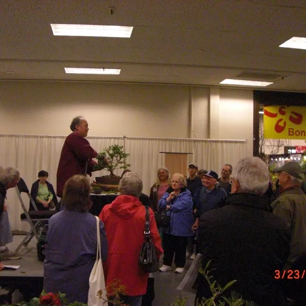 Bonsai Society of San Francisco at the 2011 Flower and Garden Show, San Mateo Event Center