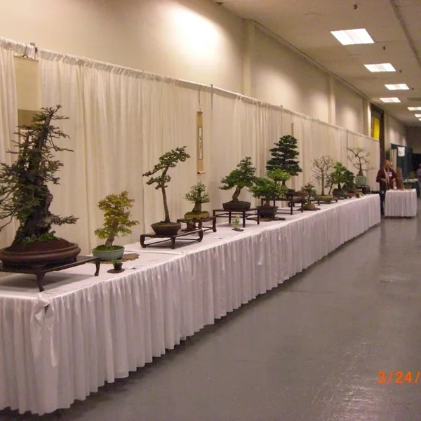 Bonsai Society of San Francisco at the 2011 Flower and Garden Show, San Mateo Event Center