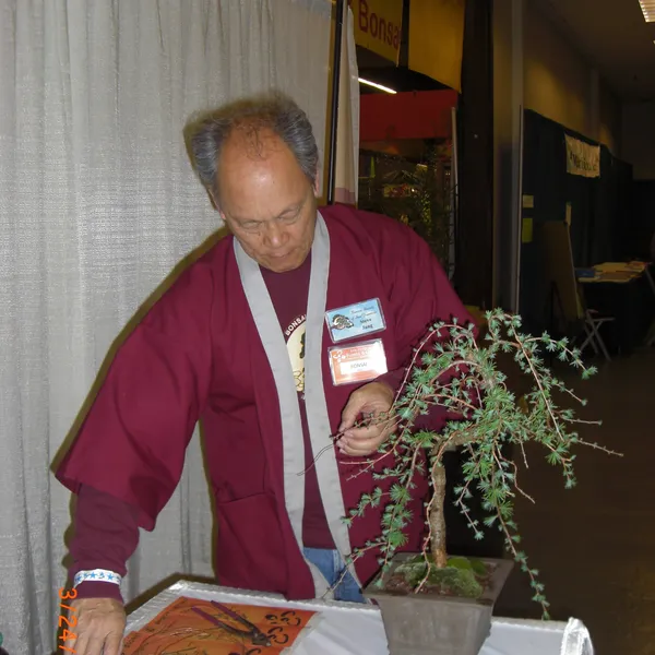 Bonsai Society of San Francisco at the 2011 Flower and Garden Show, San Mateo Event Center