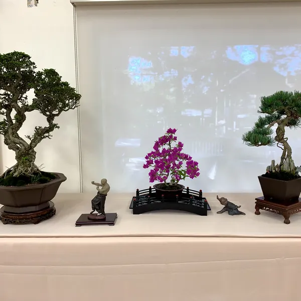 Sei Boku Bonsai Kai 42nd Anniversary Show, June 2026