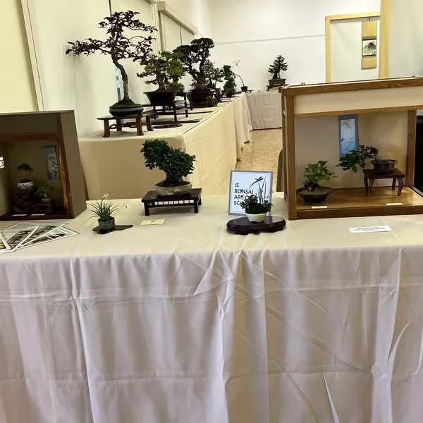 Sei Boku Bonsai Kai 42nd Anniversary Show, June 2026