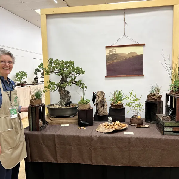 Sei Boku Bonsai Kai 42nd Anniversary Show, June 2026