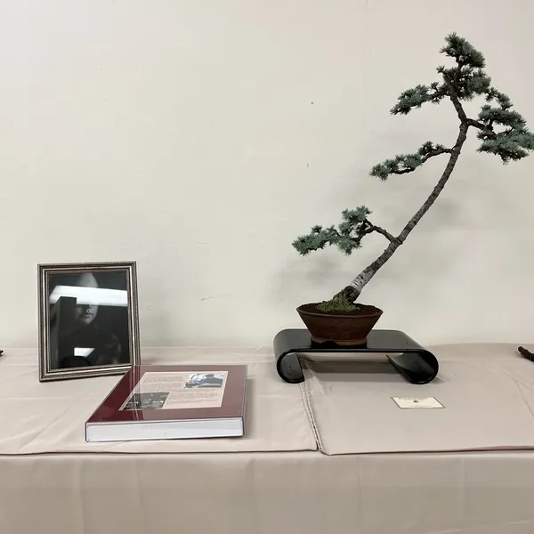 Sei Boku Bonsai Kai 42nd Anniversary Show, June 2026