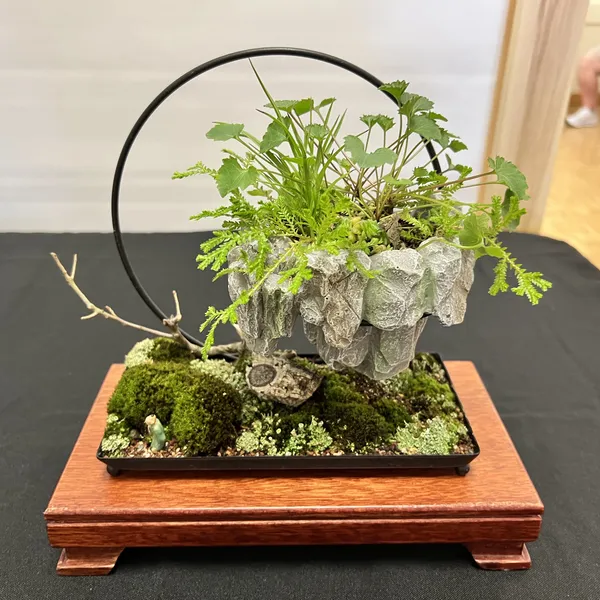 Sei Boku Bonsai Kai 42nd Anniversary Show, June 2026