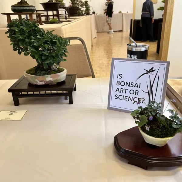 Sei Boku Bonsai Kai 42nd Anniversary Show, June 2026