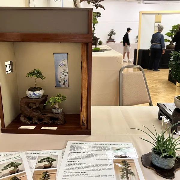Sei Boku Bonsai Kai 42nd Anniversary Show, June 2026