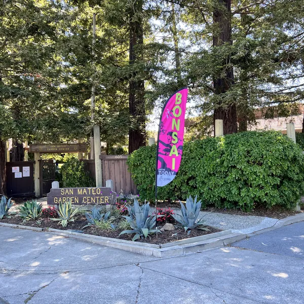 Sei Boku Bonsai Kai 42nd Anniversary Show, June 2026
