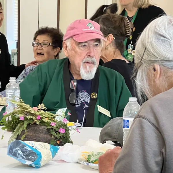 Sei Boku Bonsai Kai 42nd Anniversary Show, June 2026