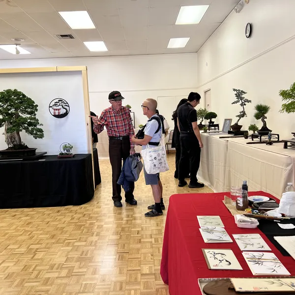 Sei Boku Bonsai Kai 42nd Anniversary Show, June 2026