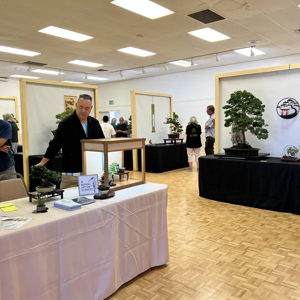 Sei Boku Bonsai Kai 42nd Anniversary Show, June 2026