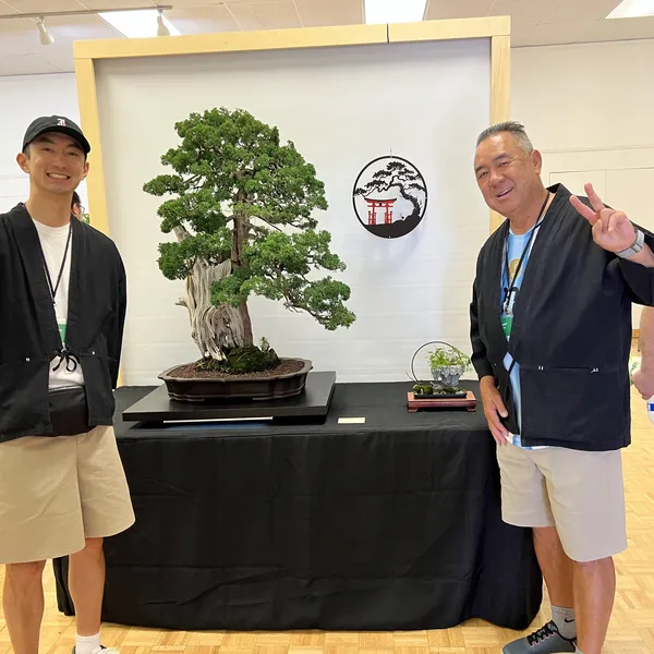 Sei Boku Bonsai Kai 42nd Anniversary Show, June 2026