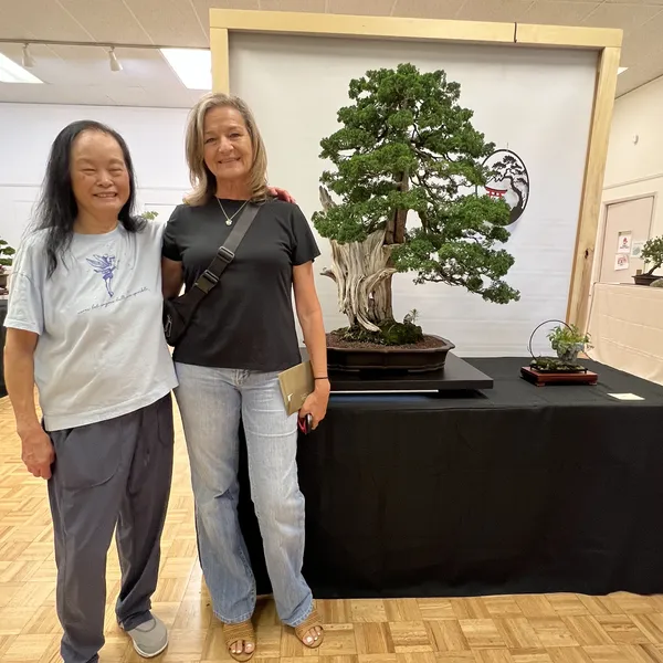 Sei Boku Bonsai Kai 42nd Anniversary Show, June 2026